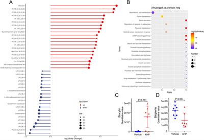 Therapeutic potential of Xihuang Pill in colorectal cancer: Metabolomic and microbiome-driven approaches